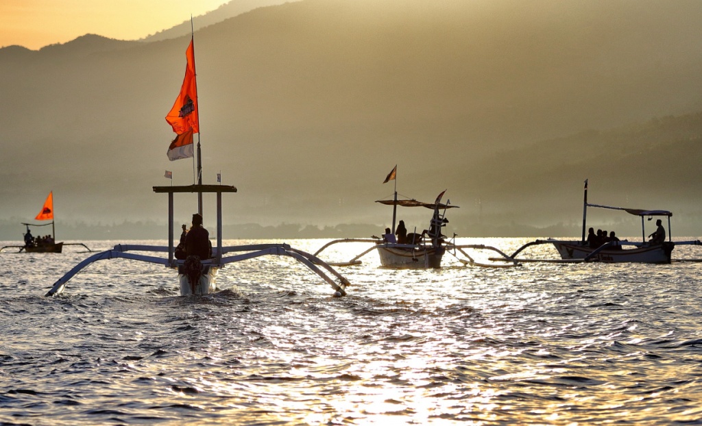 Dolphins Watching in Lovina, North Bali 
