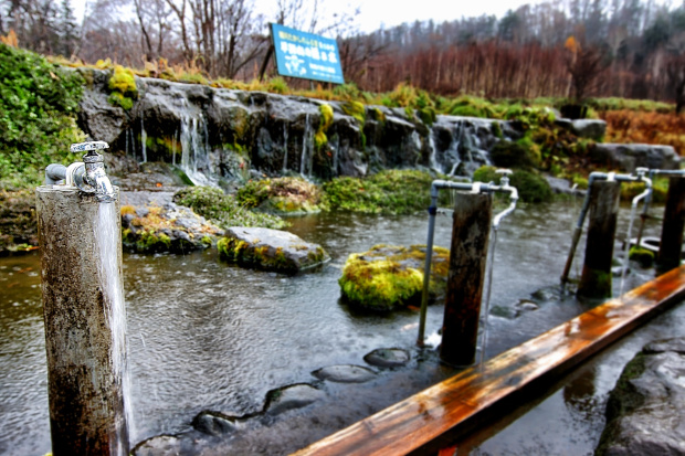 Enjoy Hokkaido Food Tourism
