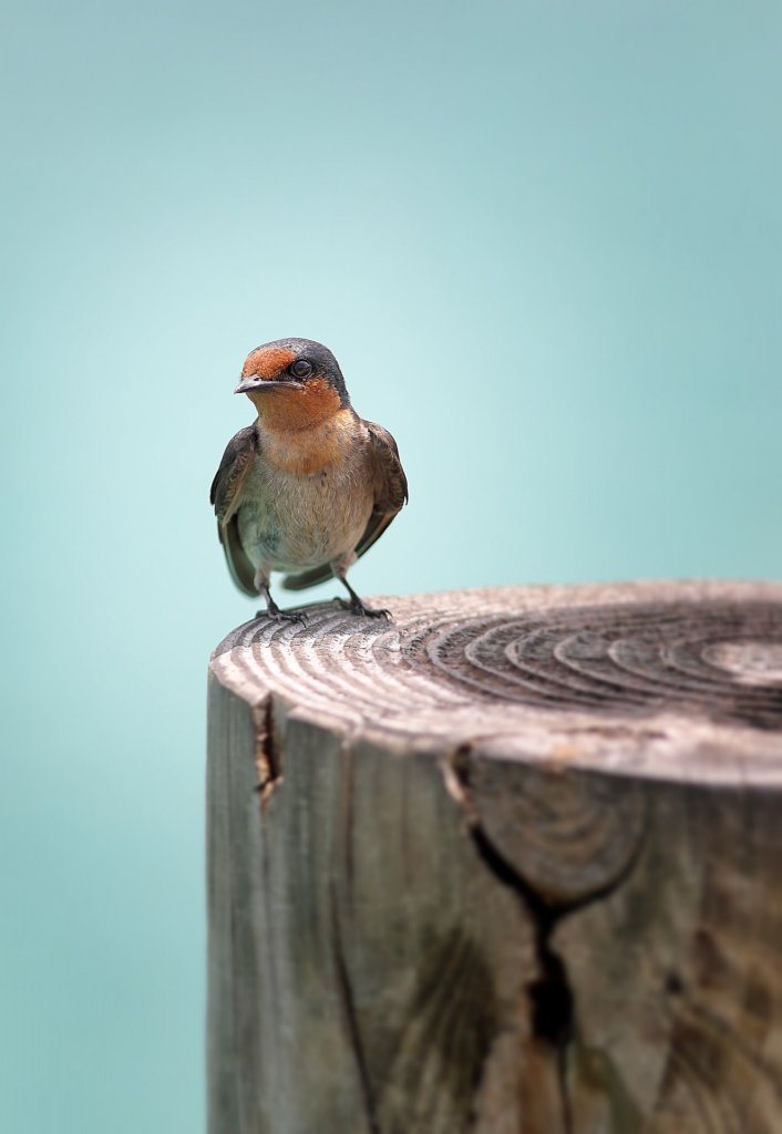 Soneva Kiri 