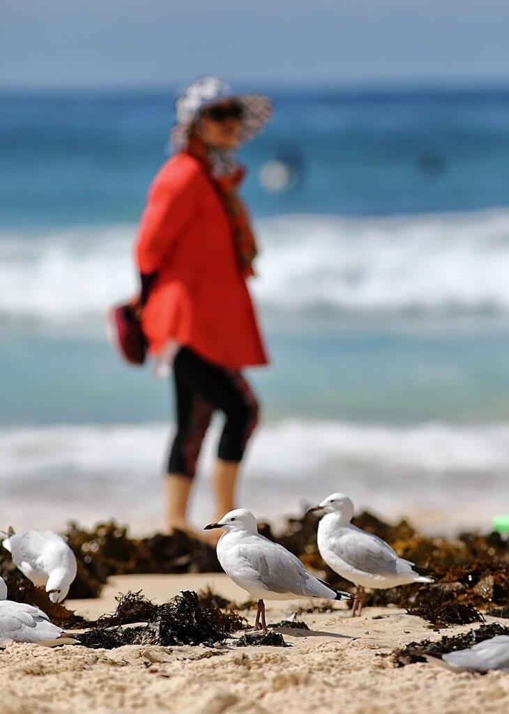 6 must-do activities when you have 72 hours in Sydney 