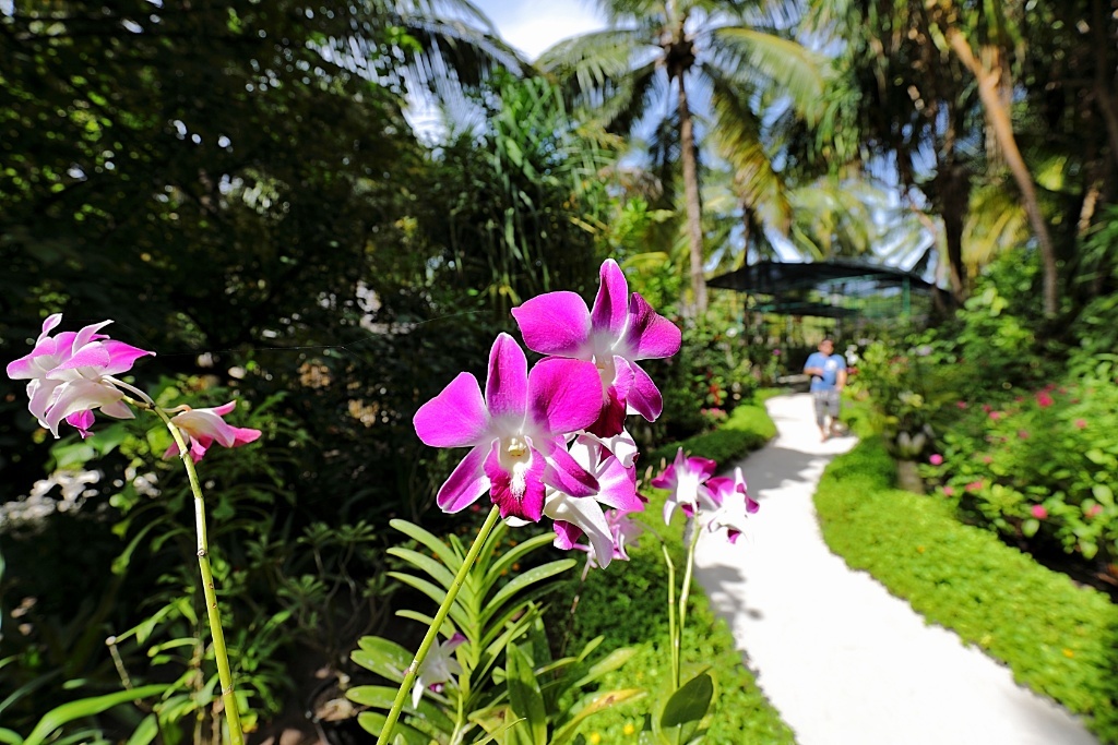 Anantara Kihavah Maldives Luxury Resort Paradise Baa Atoll travelogue