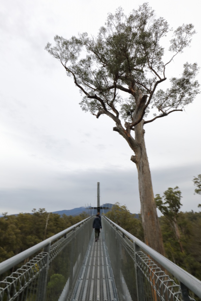 Tasmania Convoy Self-drive Adventure September 2017