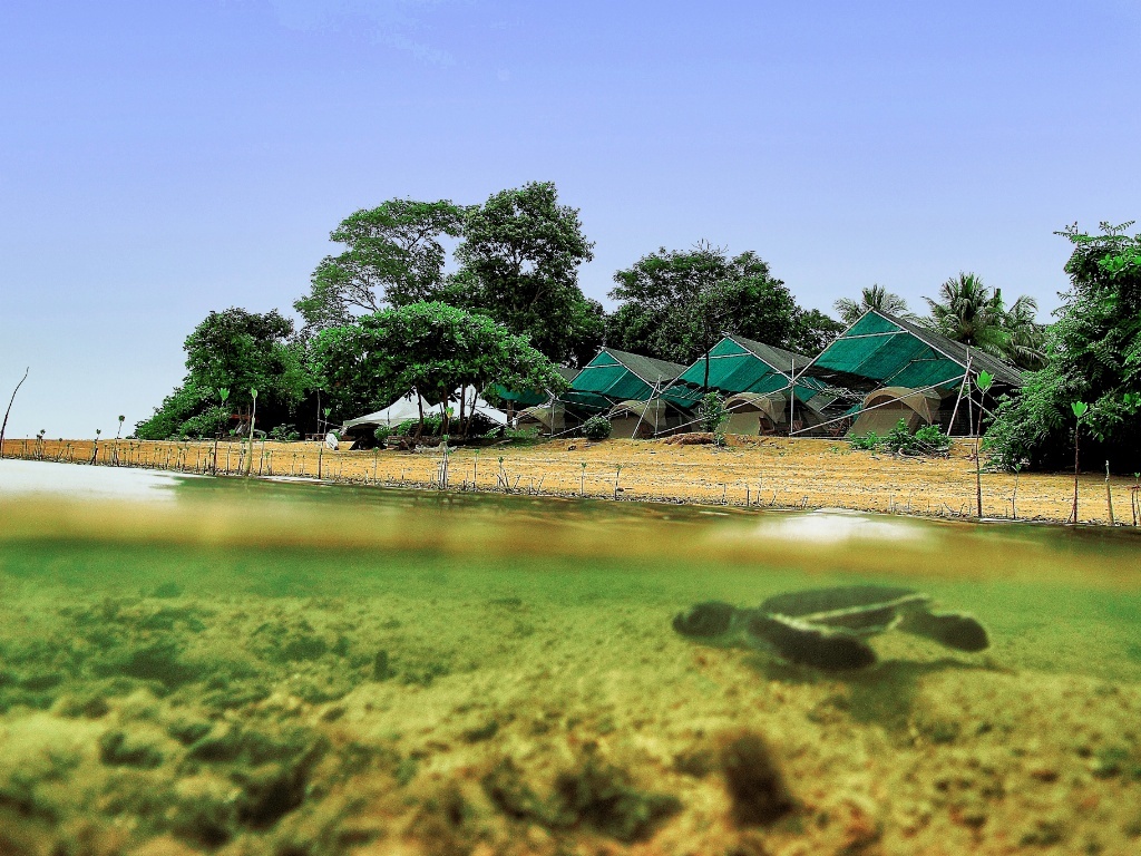 Borneo- Ecotourism Hub of Southeast Asia