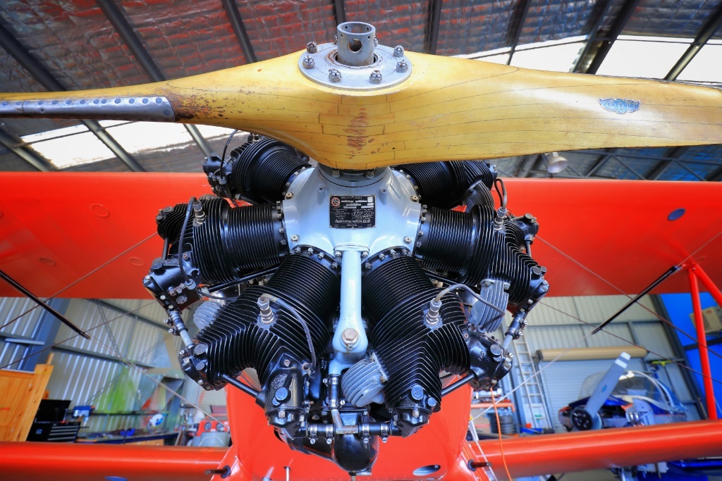 Sydney South Coast Road Trip. MUST-DO Vintage Biplane Aerial Adventure