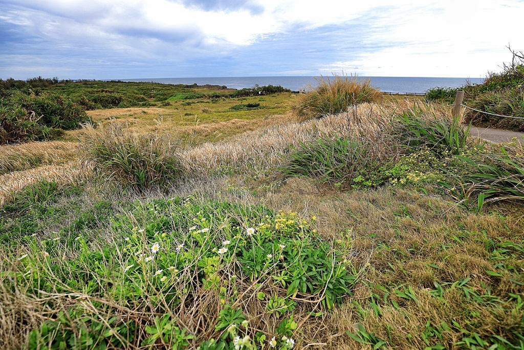 First-timer Road Trip to Okinawa - Part 2