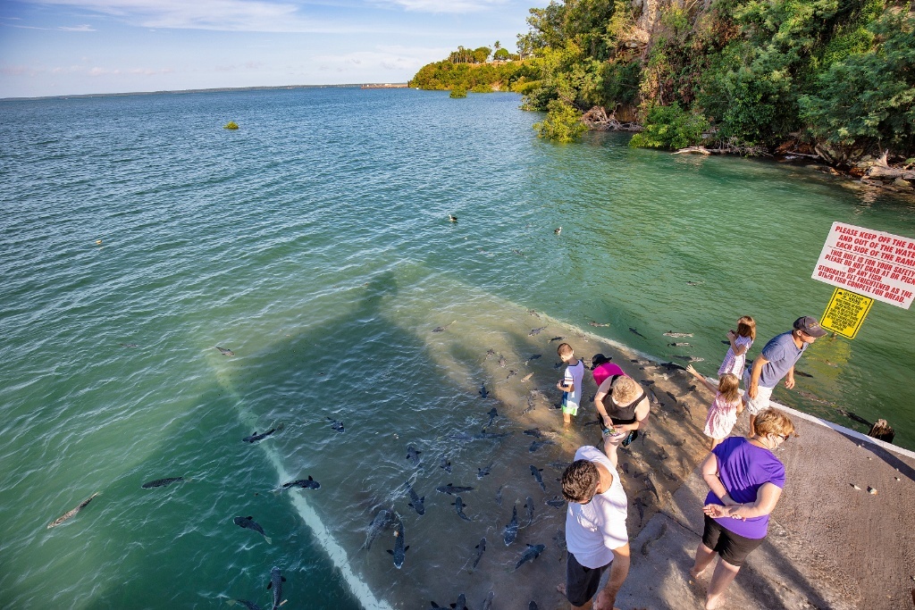 6 Days Road Trip to Darwin, Australia Northern Territory