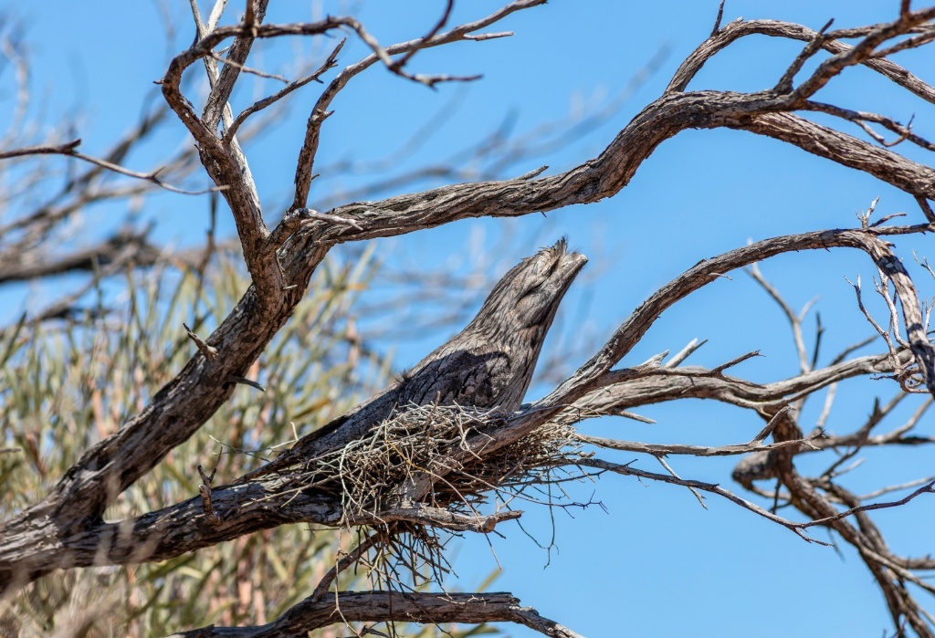 Western Australia Coral Coast Road Trip