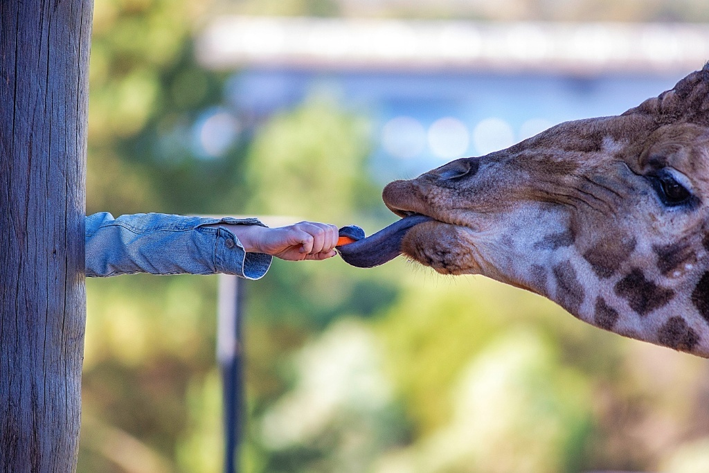33 things on a Canberra road trip