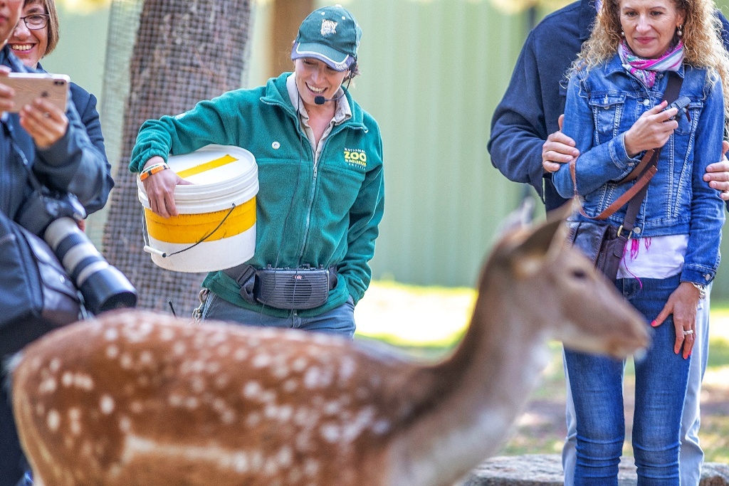33 things on a Canberra road trip