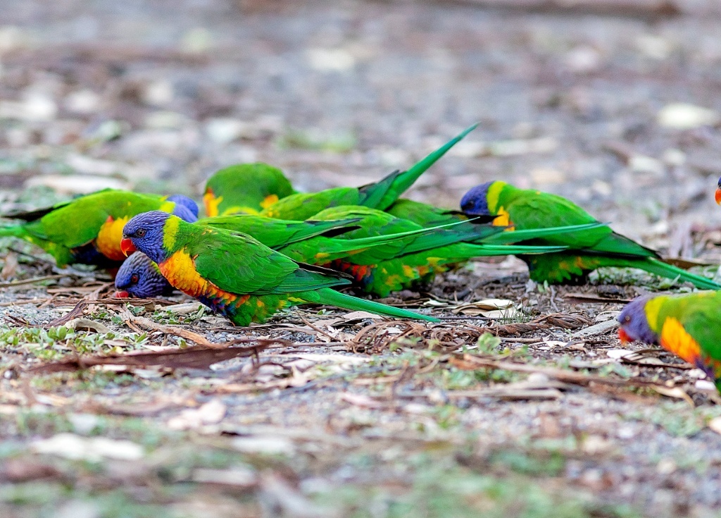 33 things on a Canberra road trip