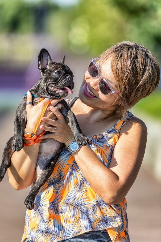 Animal Photography Pet Photoshoot Pet Dog Photography