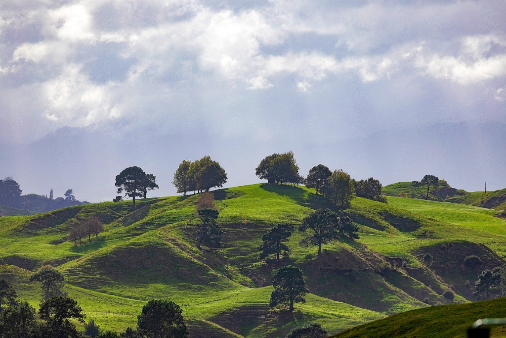 Road Trip New Zealand