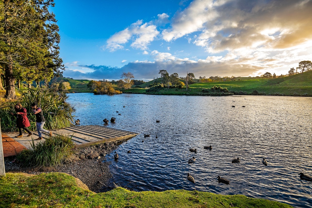 Road Trip New Zealand