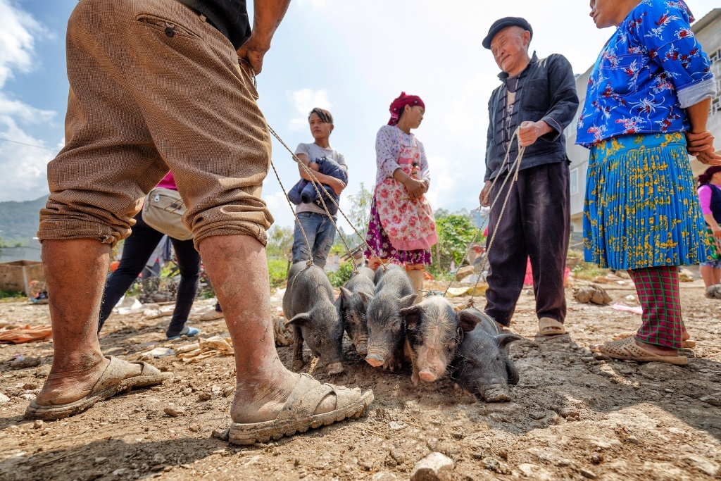 Ha Giang, the Hidden Gem of  Northern Vietnam