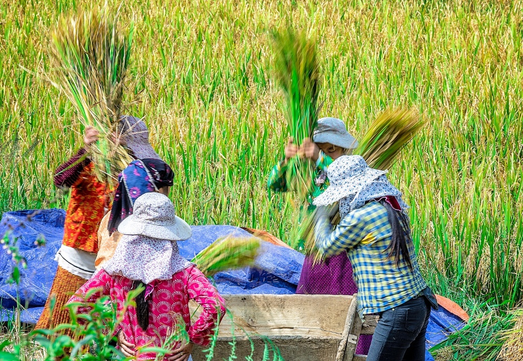 Ha Giang, the Hidden Gem of  Northern Vietnam