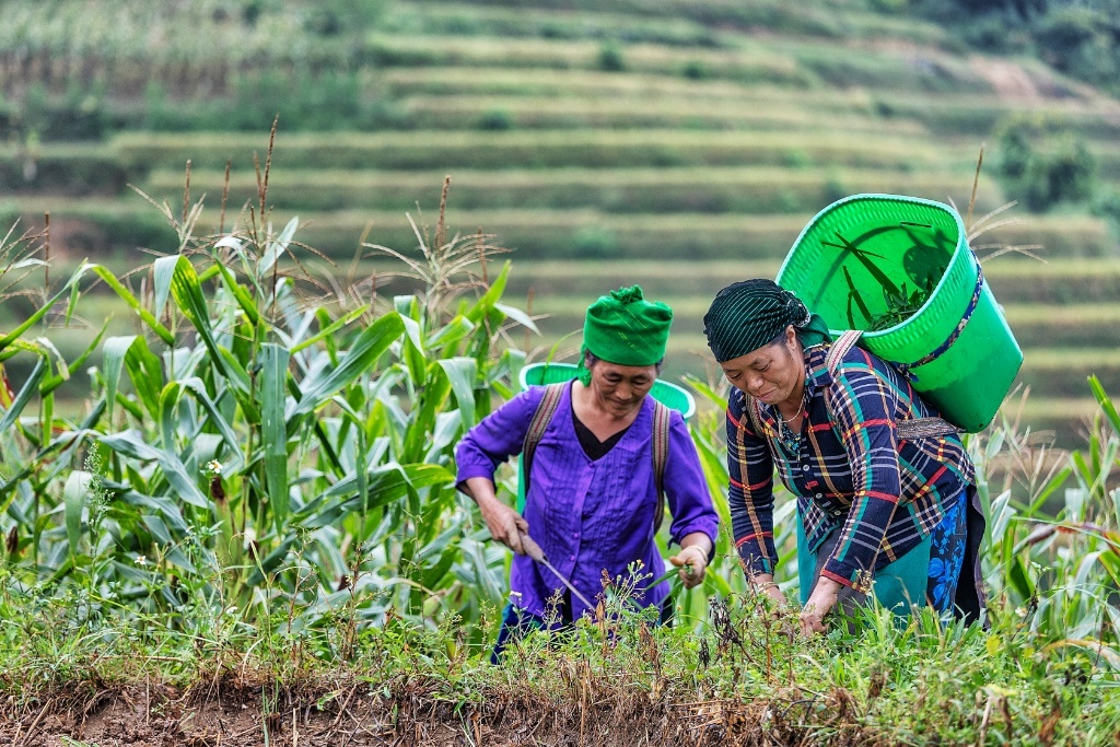 Ha Giang, the Hidden Gem of  Northern Vietnam