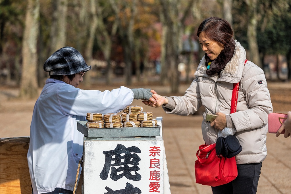 DIY vacation to Kyoto and Osaka