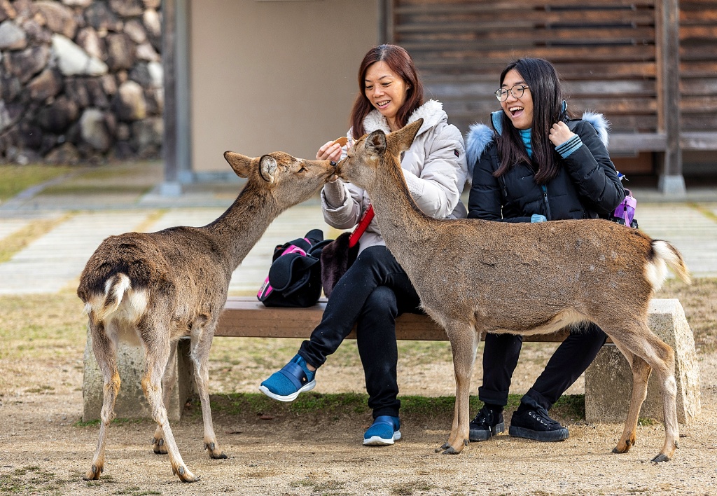 DIY vacation to Kyoto and Osaka