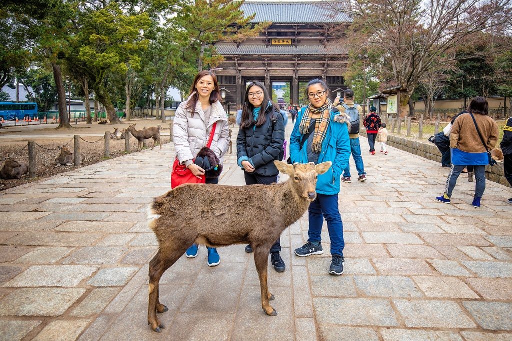 DIY vacation to Kyoto and Osaka