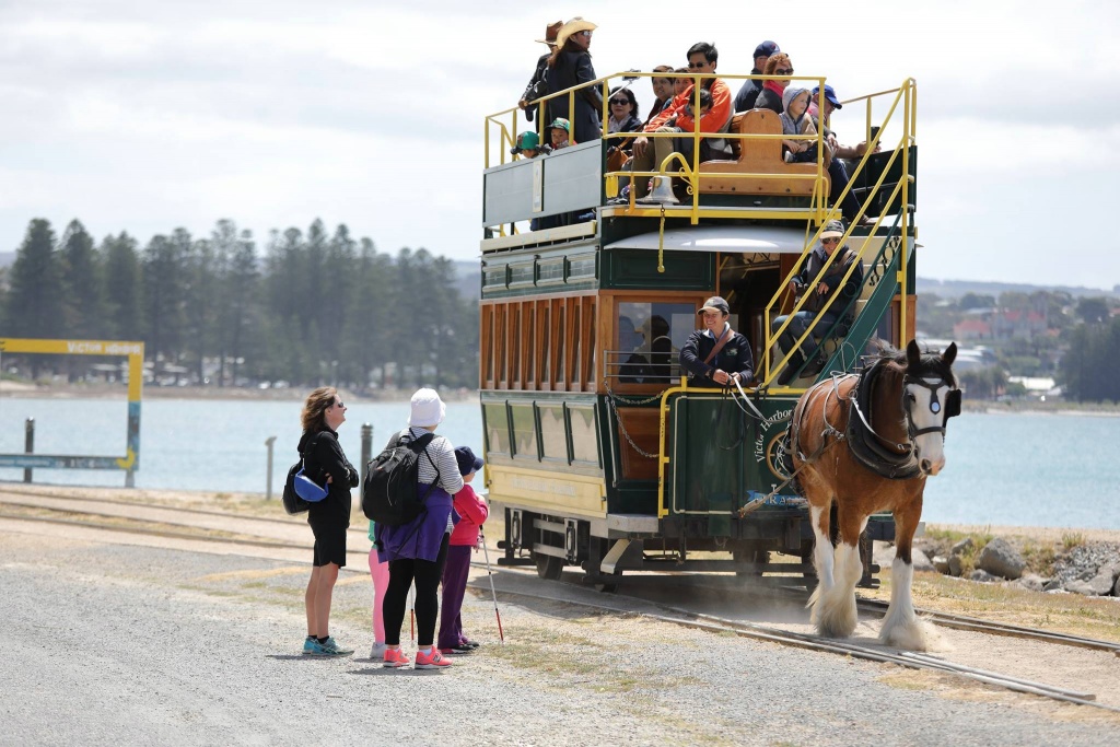 5 Places You Should Not Miss in Adelaide