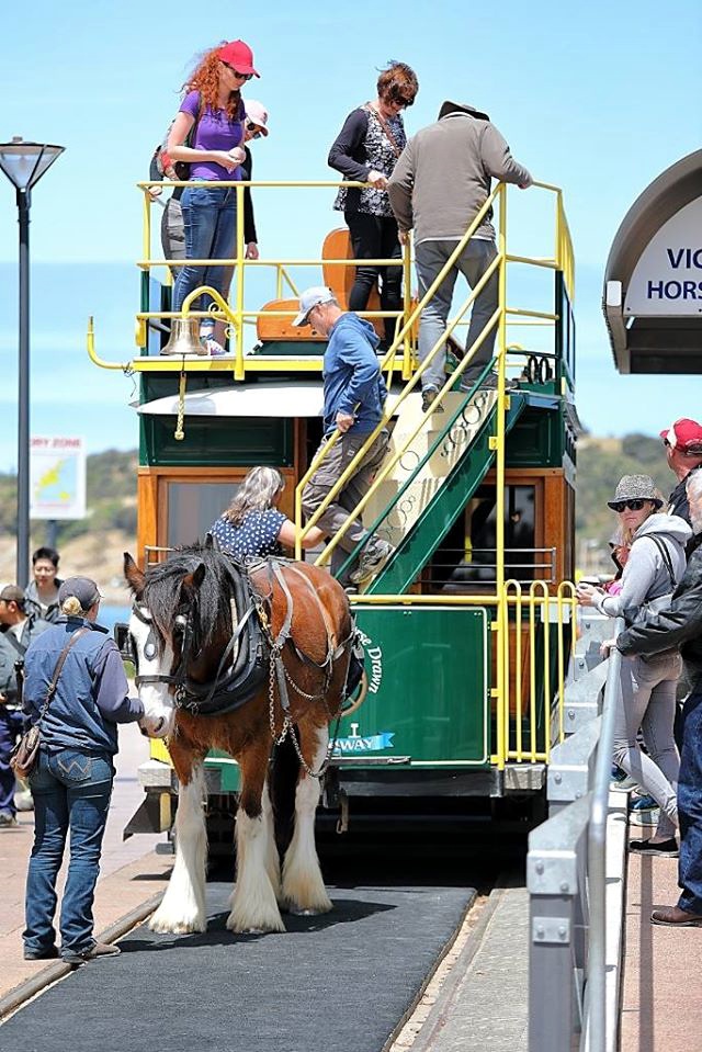 5 Places You Should Not Miss in Adelaide