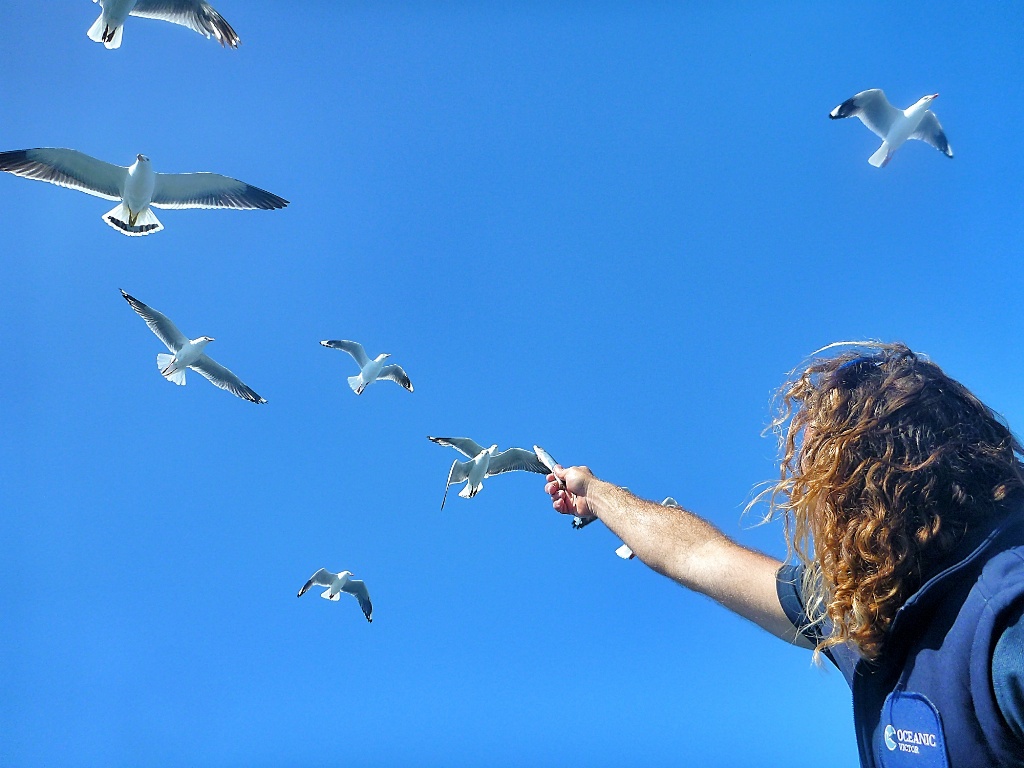 5 Places You Should Not Miss in Adelaide