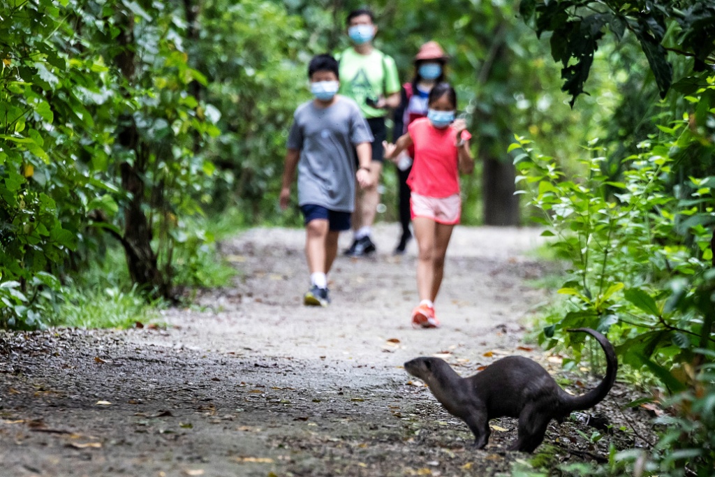 Sungei buloh wetlands reserve