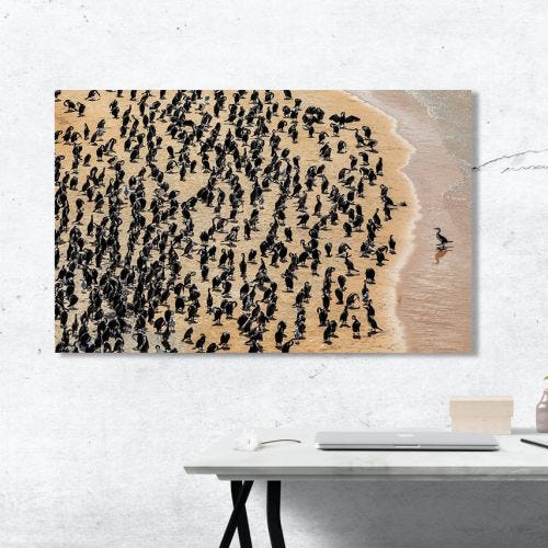 Canon Travel Landscape Canvas Prints