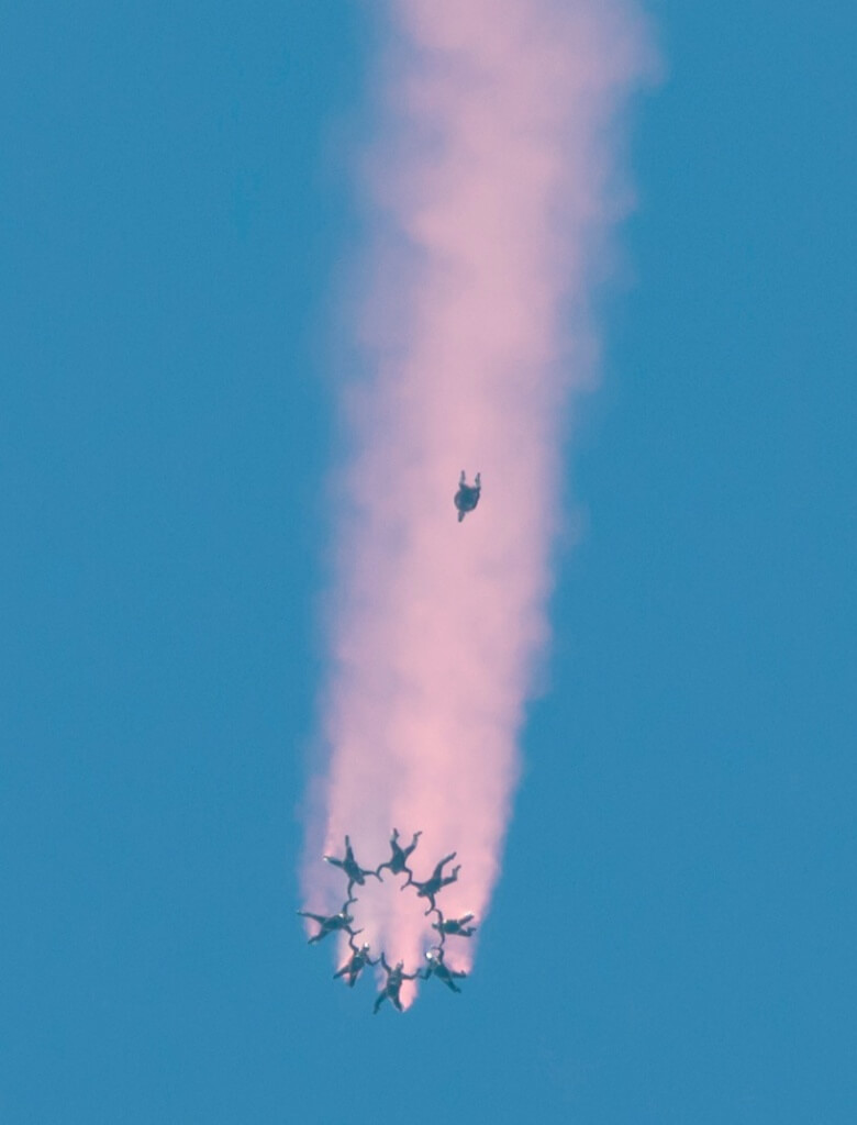 Red Lions free falling 