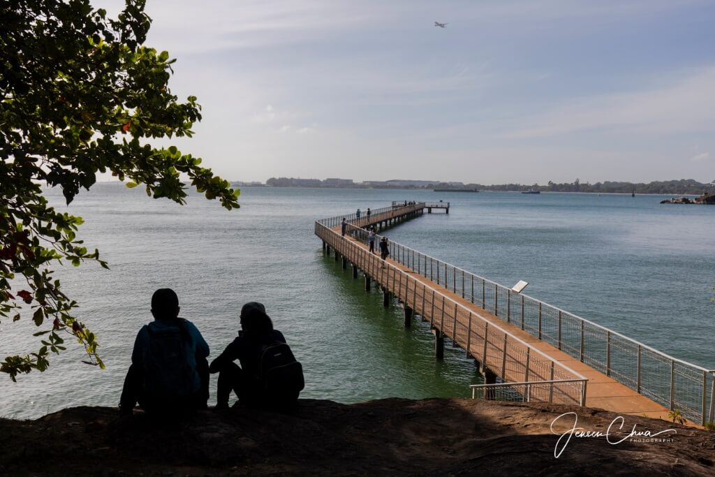 Macrophotography at Ubin