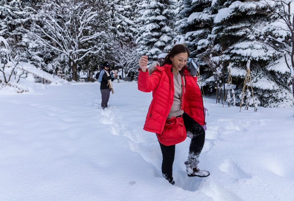 Hokkaido DIY vacation