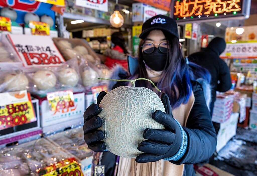 Hokkaido DIY vacation