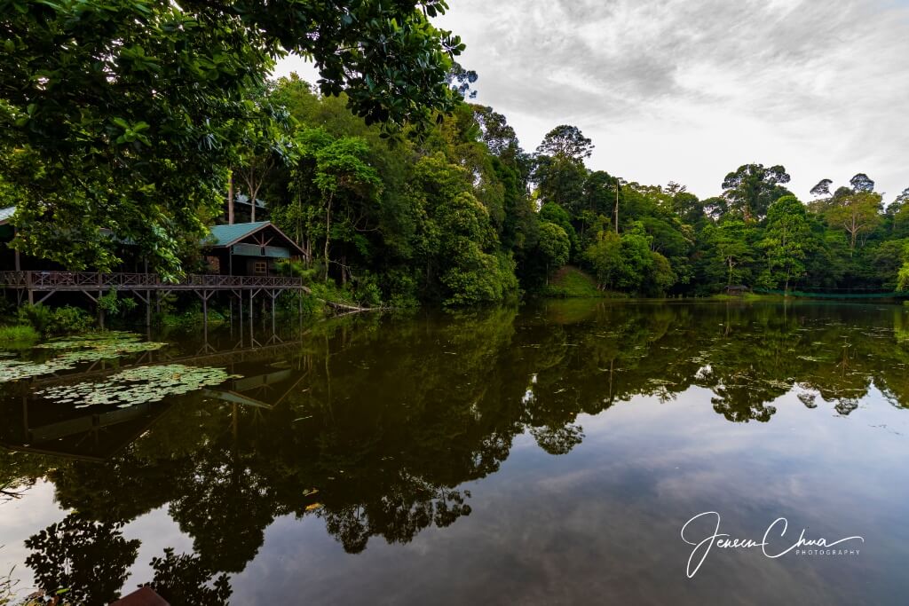 Wildlife Adventures in Sandakan