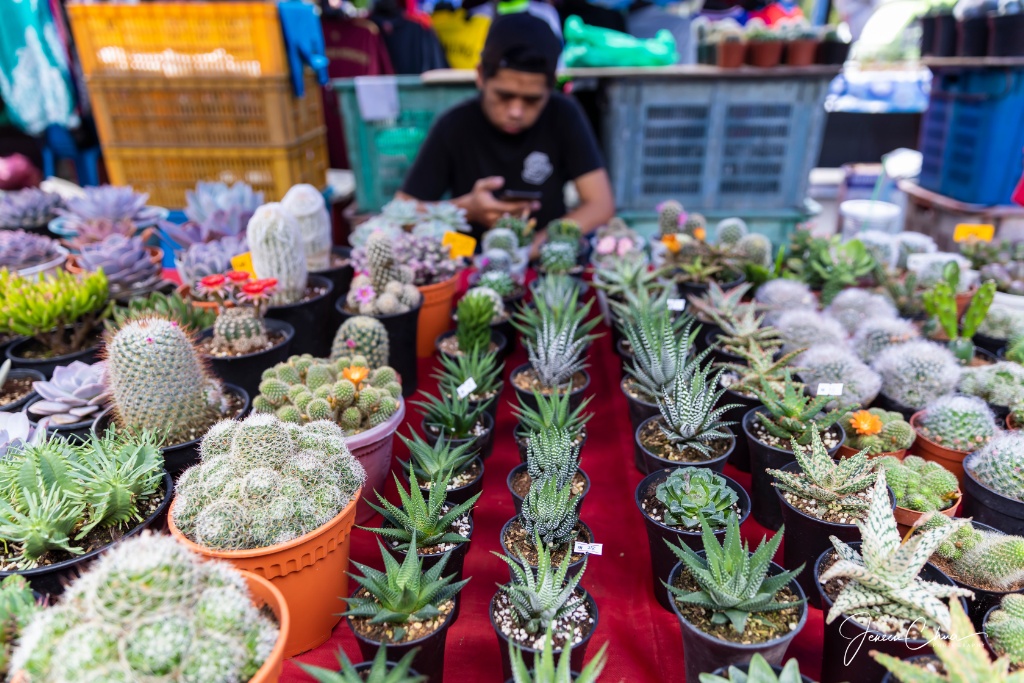 Kota Kinabalu Weekend Market