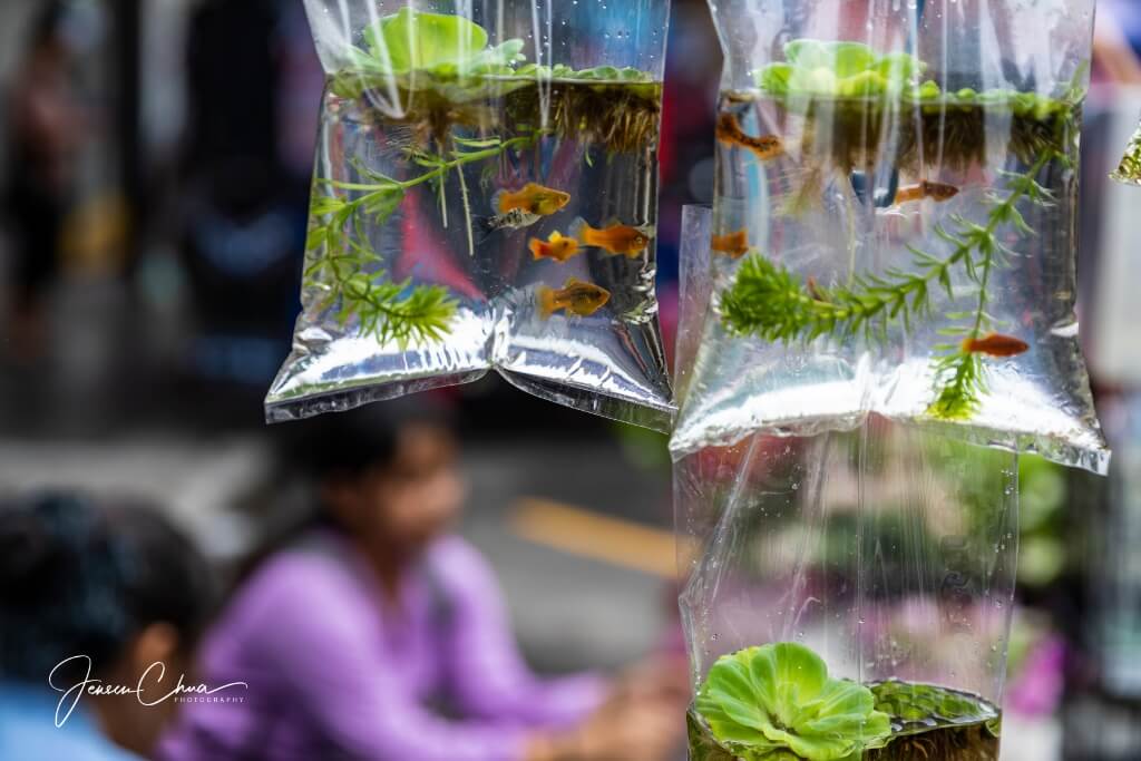 Kota Kinabalu Weekend Market